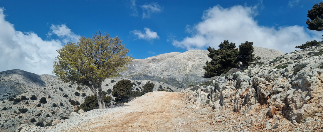 SÉJOUR EN GRÈCE - CRÈTE